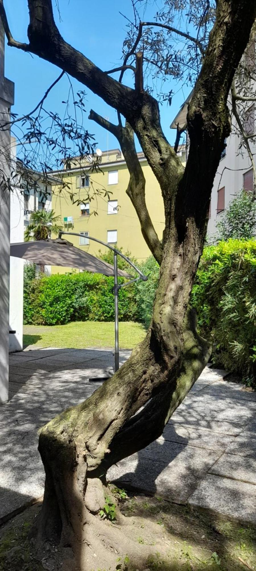 Villa Andrea Mestre Kültér fotó